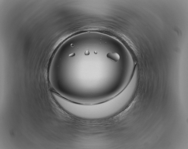 X0000112491465200908171237