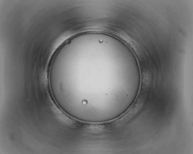 X0000112491466200908171237