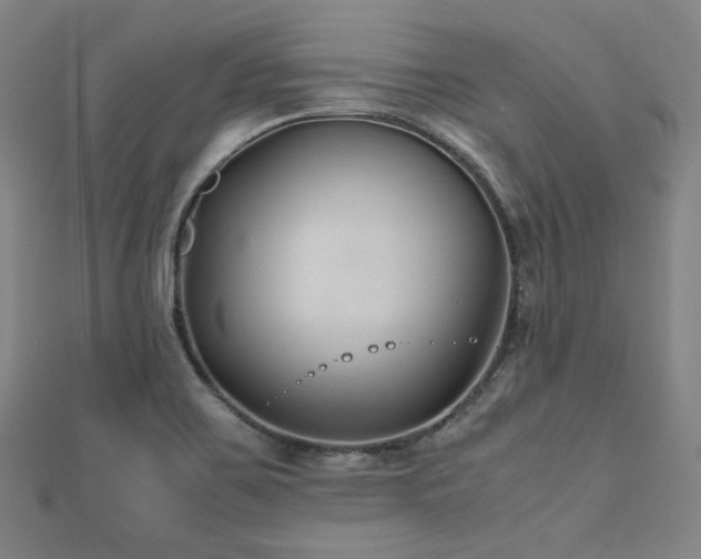 X0000112491467200908171237