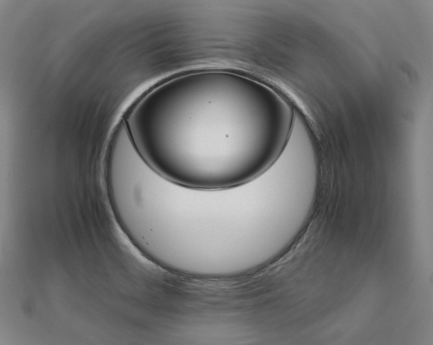 X0000112491468200908171237