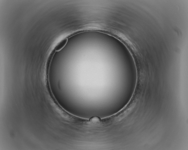 X0000112491469200908171237