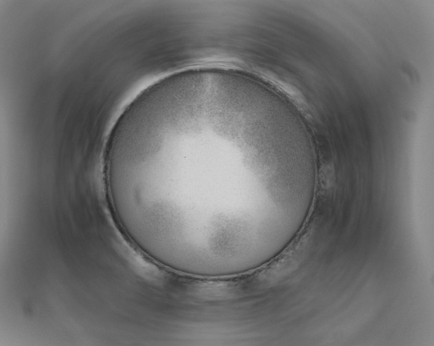 X0000112491470200908171237