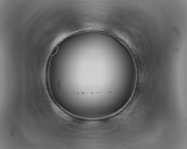 X0000112491471200908171236