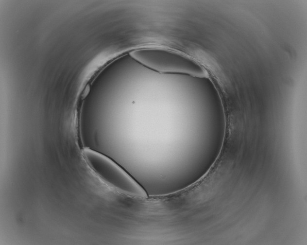 X0000112491472200908171236