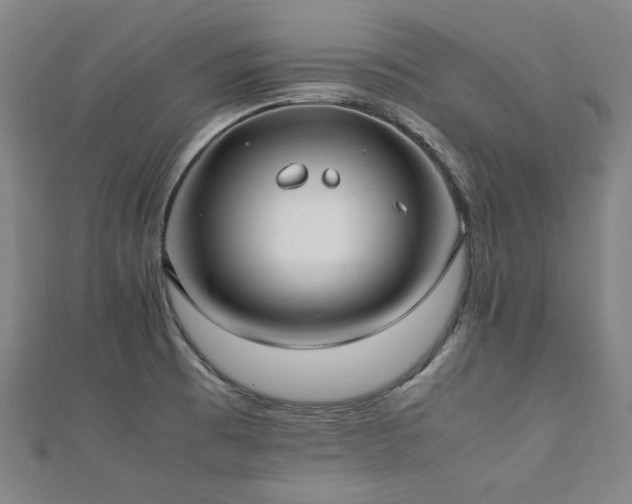 X0000112491473200908171236
