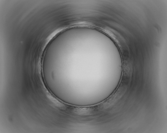 X0000112491474200908171236