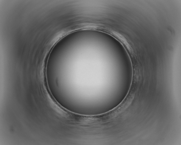 X0000112491475200908171236