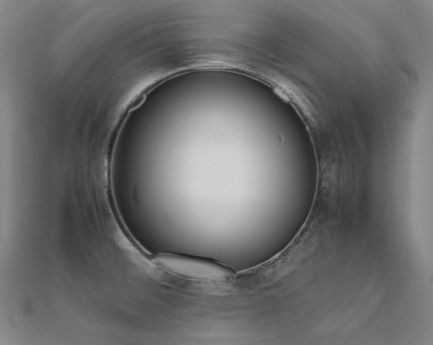 X0000112491476200908171236