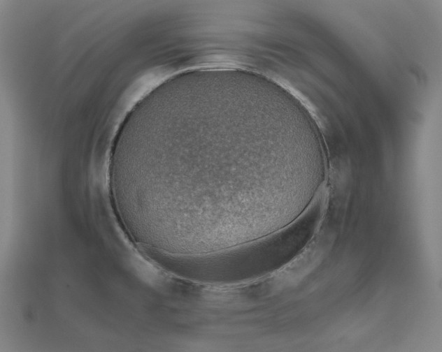 X0000112491477200908171236