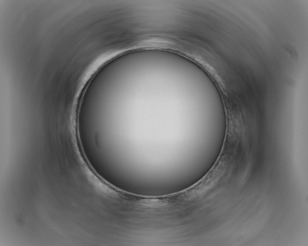 X0000112491478200908171236