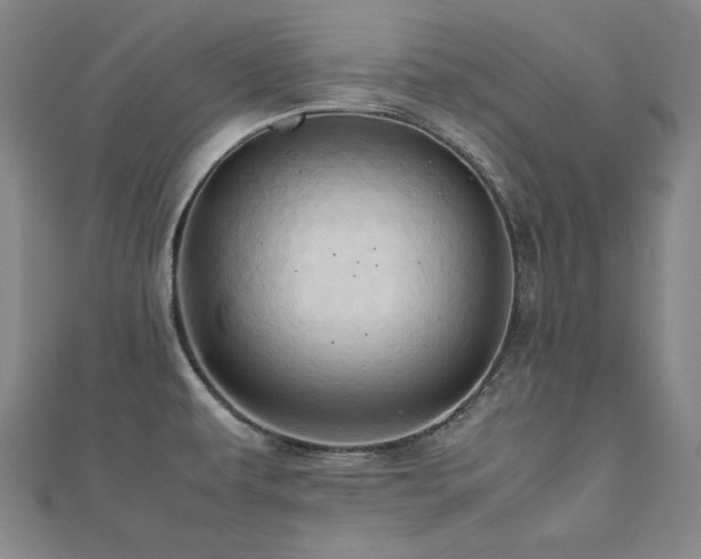 X0000112491479200908171236