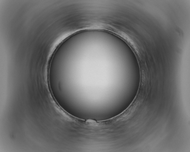 X0000112491480200908171236