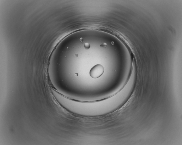 X0000112491481200908171236