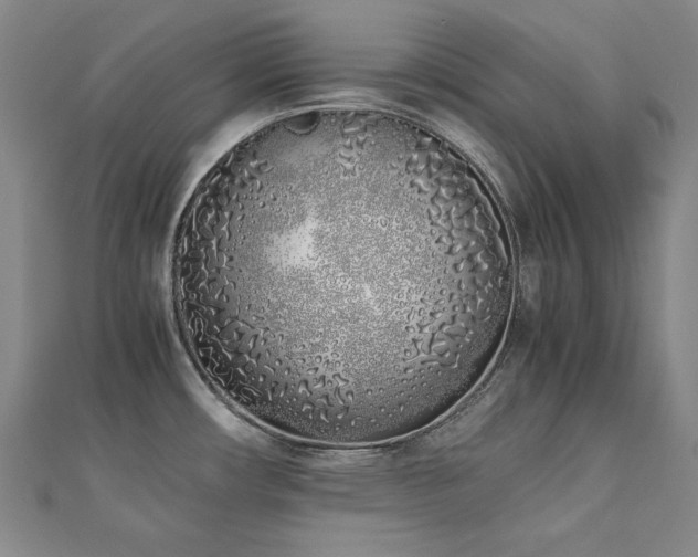 X0000112491482200908171236