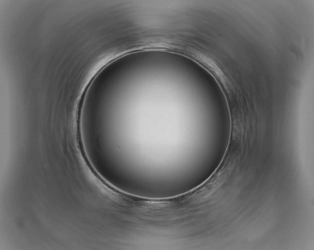 X0000112491483200908171236