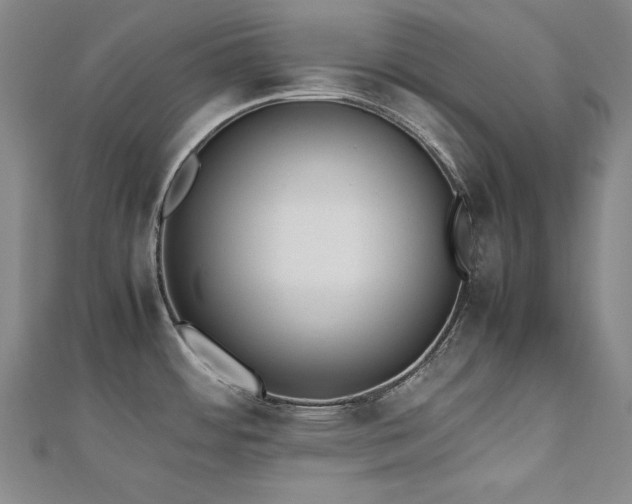 X0000112491484200908171236