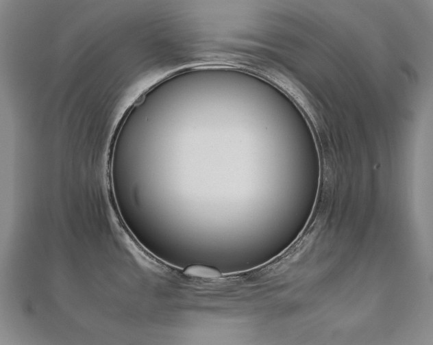 X0000112491485200908171236
