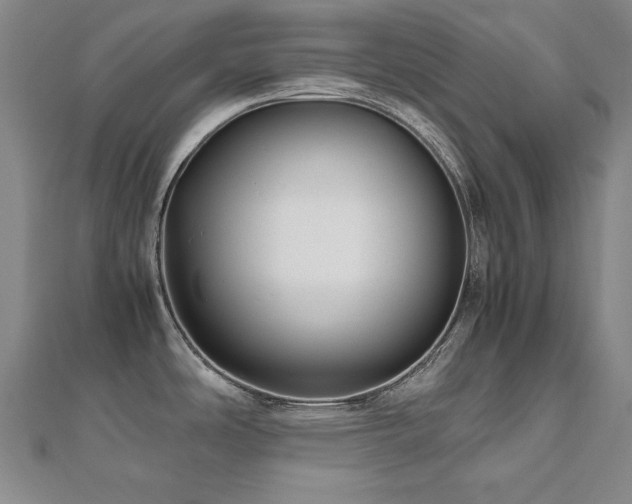 X0000112491486200908171236