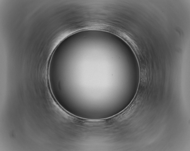 X0000112491487200908171236