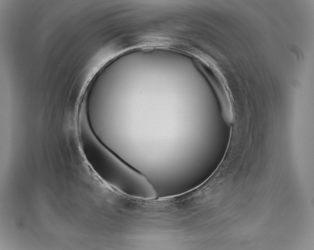 X0000112491488200908171236