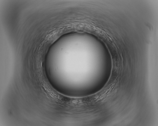 X0000112491489200908171235