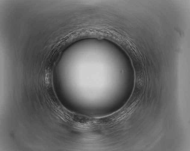 X0000112491490200908171235