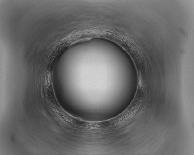 X0000112491492200908171236