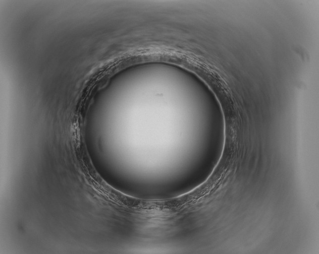 X0000112491493200908171236