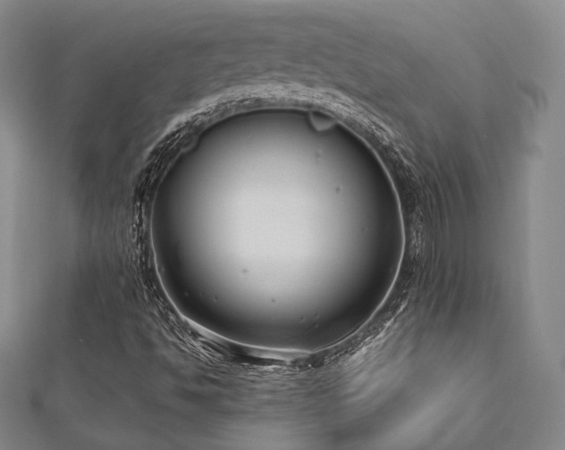 X0000112491494200908171236