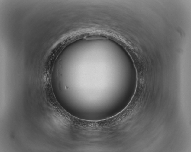 X0000112491495200908171236
