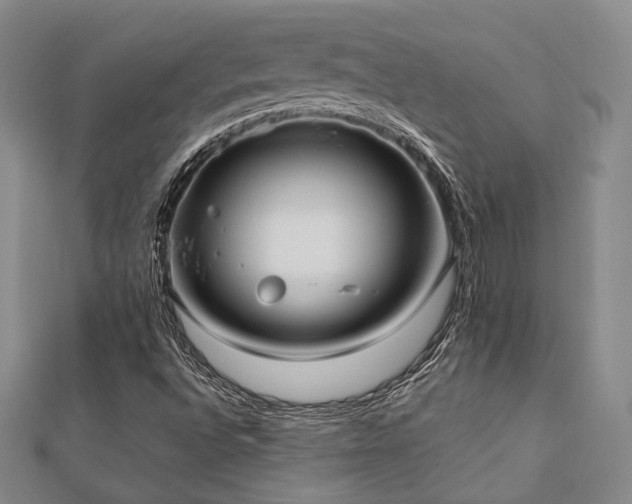 X0000112491496200908171236