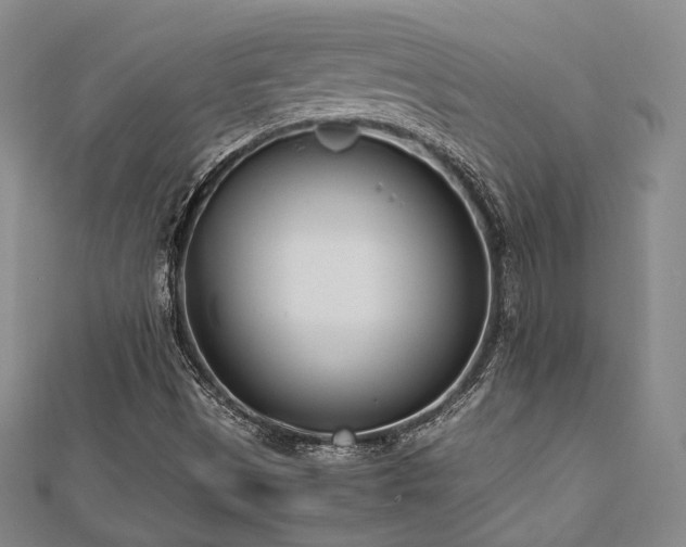 X0000112491497200908171236