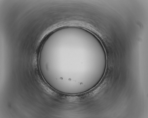X0000112491498200908171236