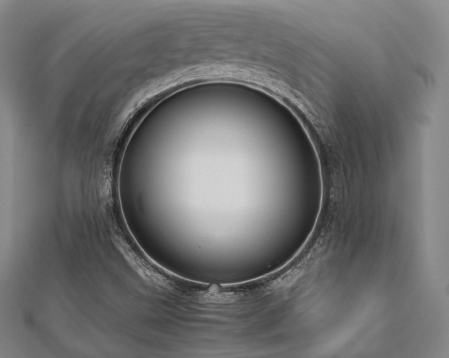 X0000112491499200908171236