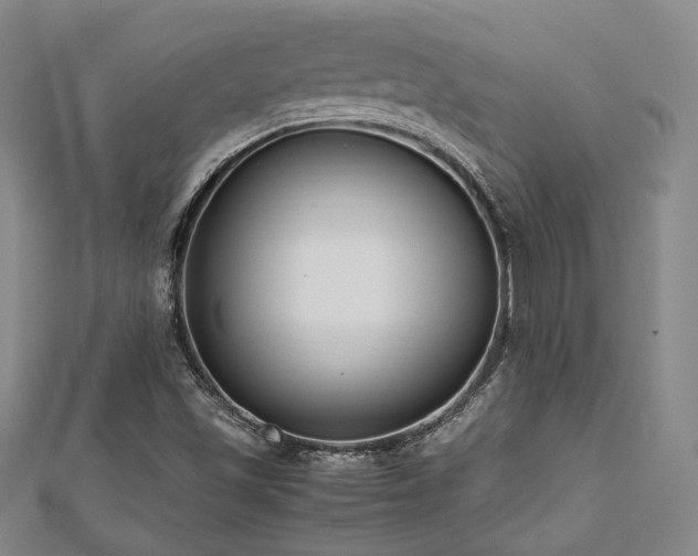X0000112491501200908171236