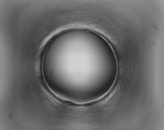 X0000112491502200908171236