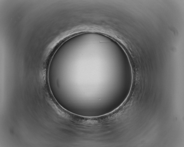 X0000112491503200908171236