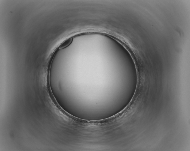 X0000112491504200908171236
