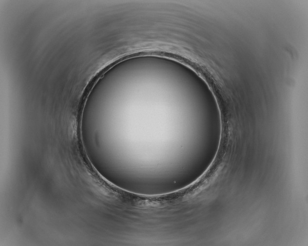 X0000112491505200908171236