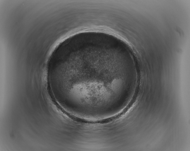 X0000112491506200908171236