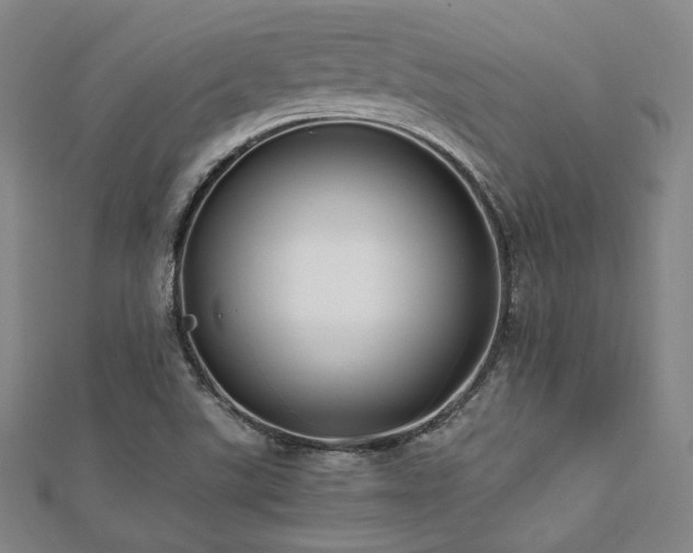 X0000112491507200908171236
