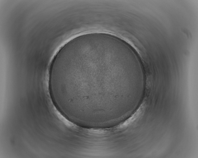 X0000112491508200908171236