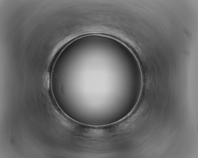 X0000112491509200908171236