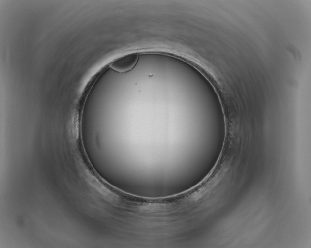 X0000112491510200908171236