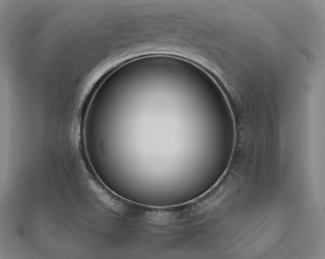 X0000112491511200908171236