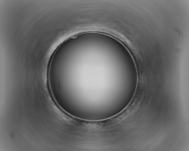 X0000112491512200908171236