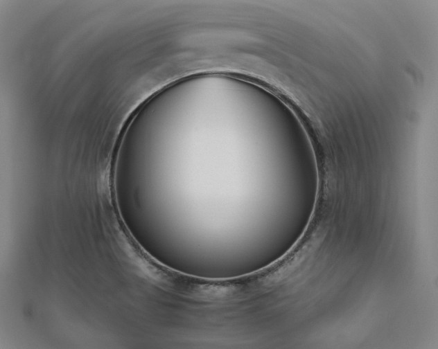 X0000112491513200908171236
