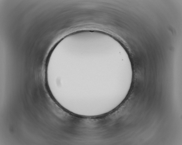 X0000112491514200908171236
