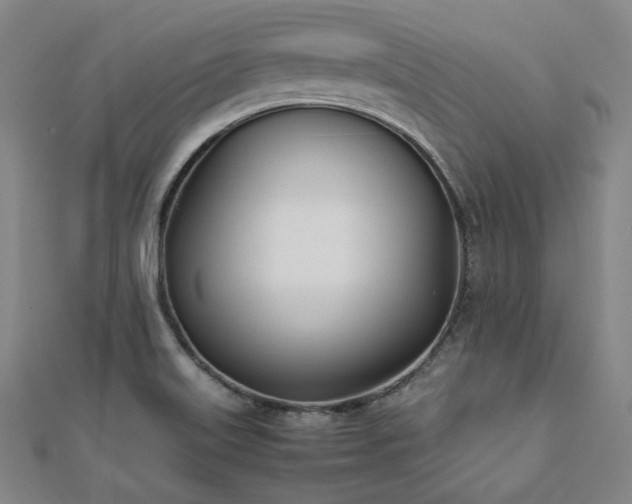 X0000112491515200908171236