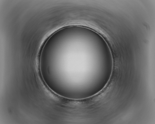 X0000112491517200908171236